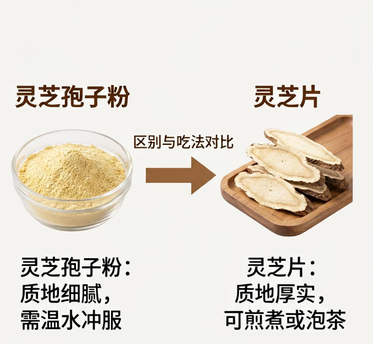 换季易感冒体弱怎么进补？破壁灵芝孢子粉和灵芝片区别及正确吃法