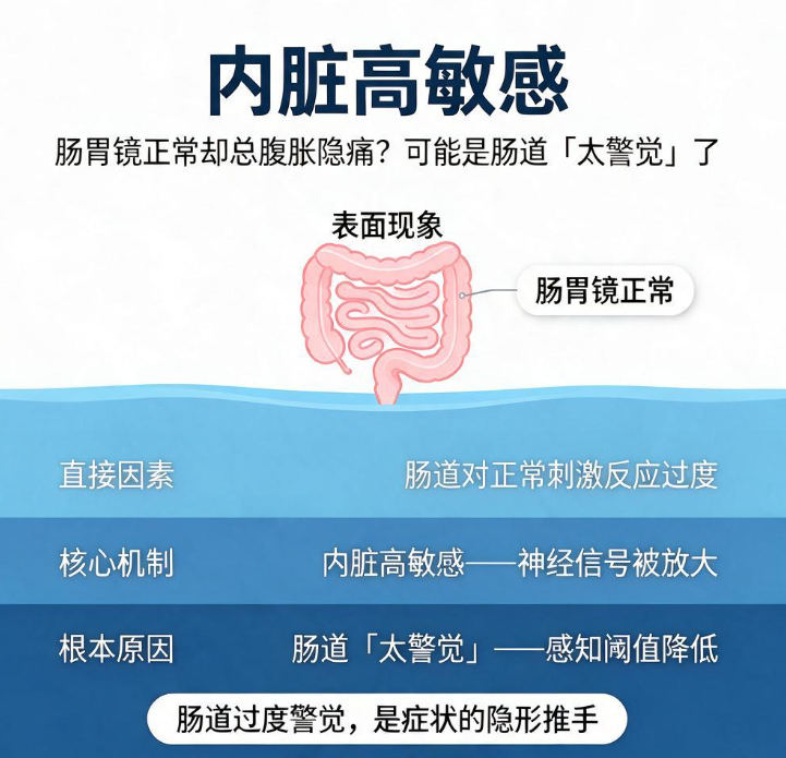 内脏高敏感：肠胃镜正常却总腹胀隐痛？可能是肠道太警觉了